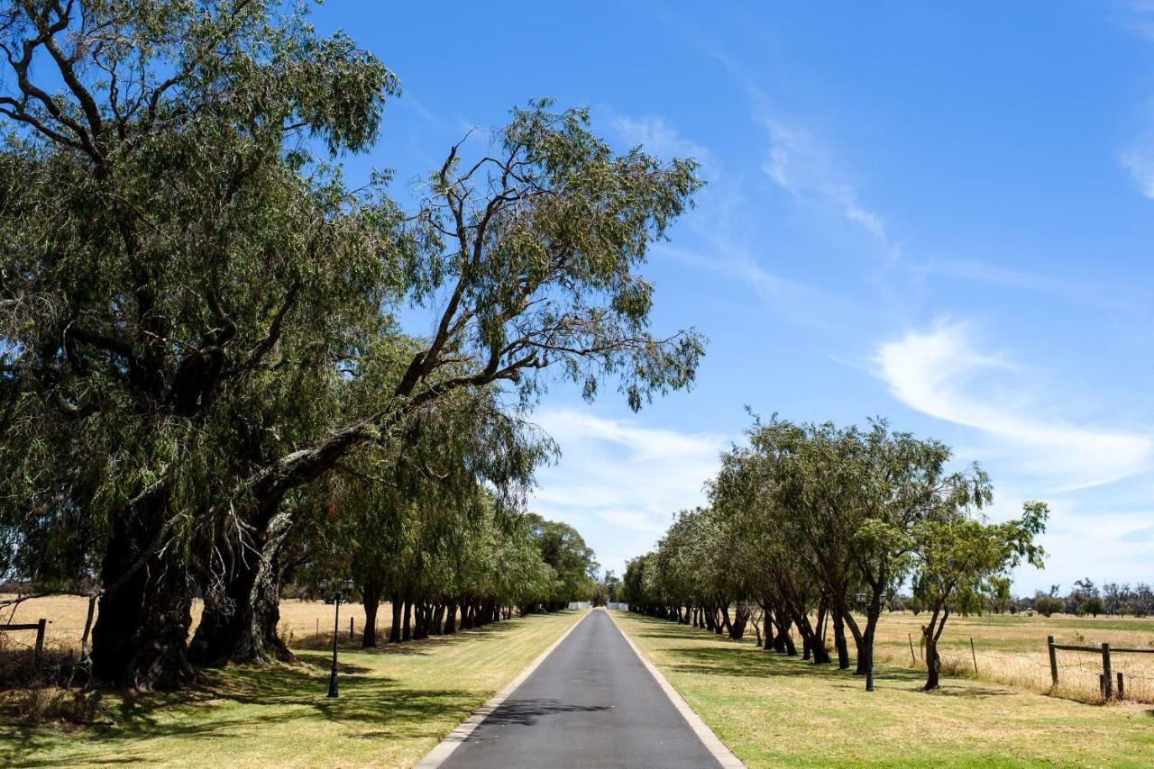 Fairlawn Estate ξενώνας Busselton Εξωτερικό φωτογραφία